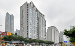 <b>该公司成立于2015年</b>